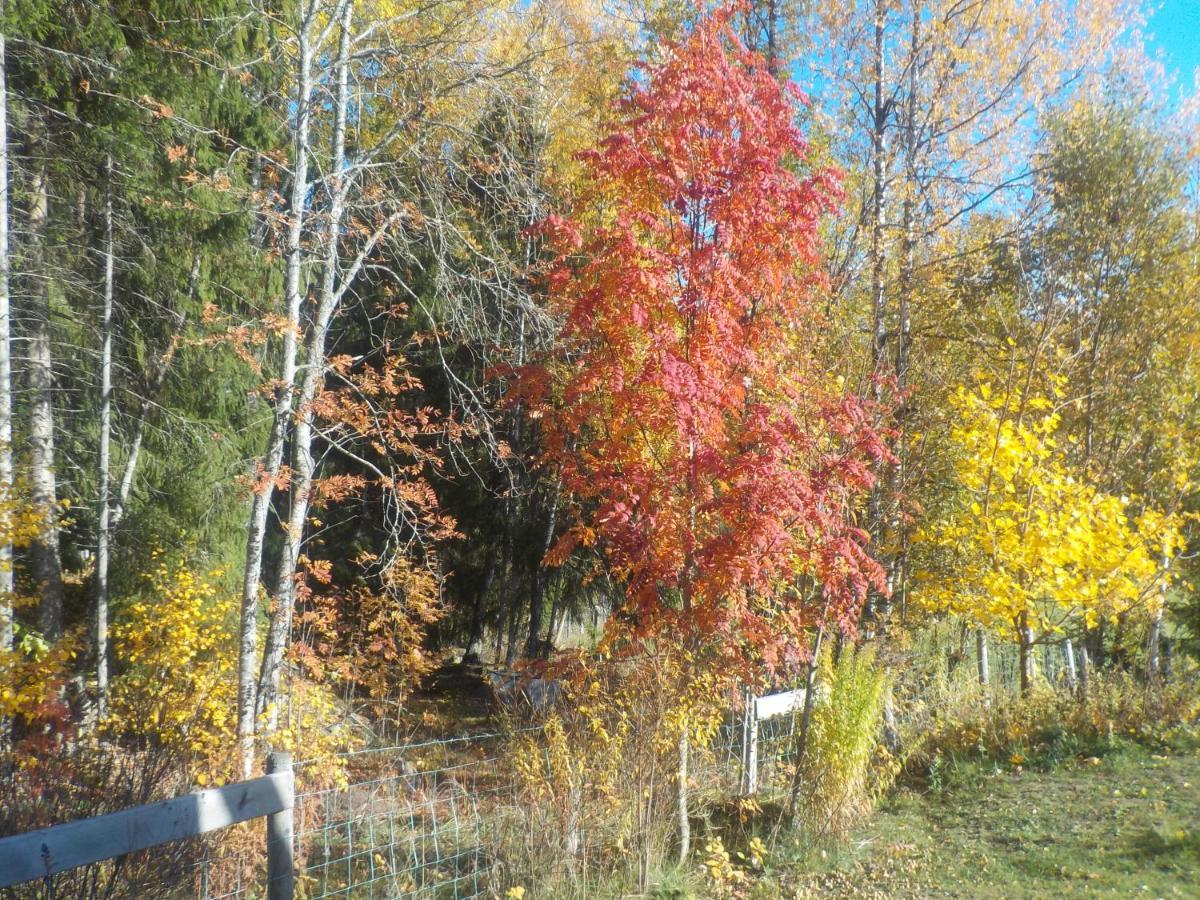 Lovelund Farm. Cottage Хагфорс Екстериор снимка